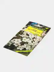 Груша Гавриш "Уссурийская", 0,3 г
