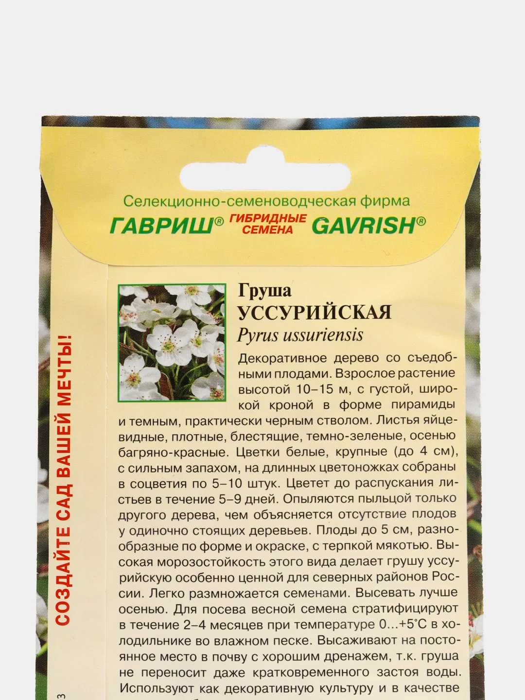 Груша Гавриш "Уссурийская", 0,3 г