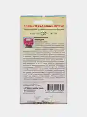 Семена кактуса "Маммилярия Бакеберга Летиция"