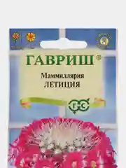 Семена кактуса "Маммилярия Бакеберга Летиция"