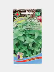 Семена Мята "Морозное утро"