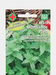 Семена Мята "Морозное утро"