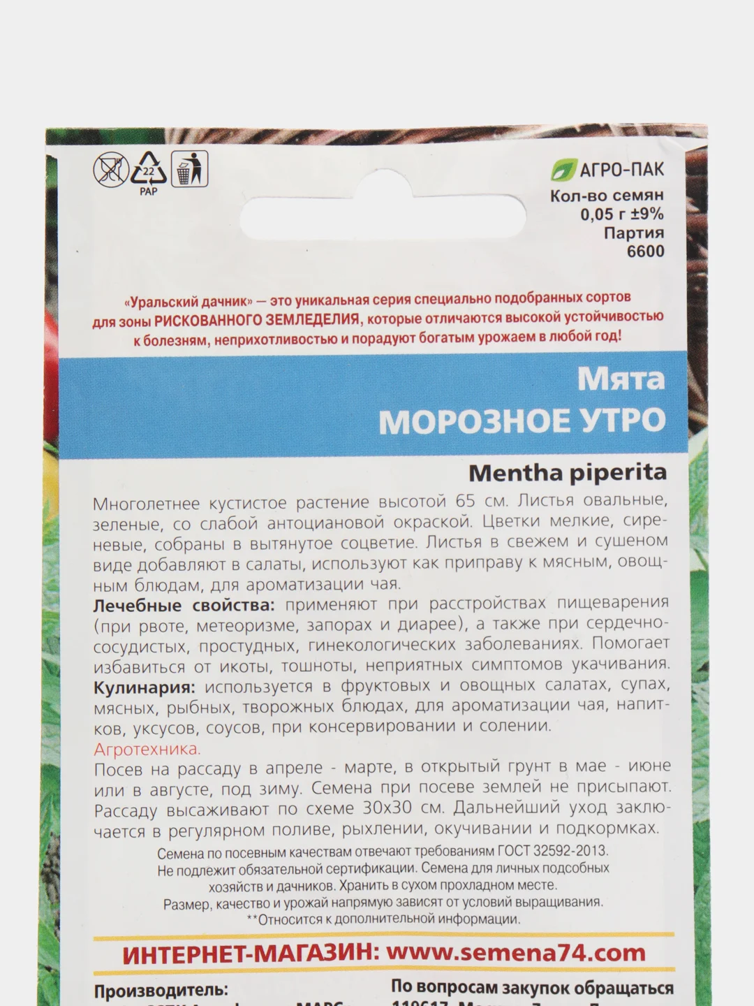 Семена Мята "Морозное утро"