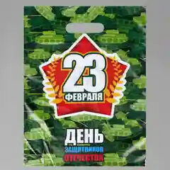 Зеленый пакет с вырубной ручкой 23 февраля 30х40 см, 3 штуки в наборе