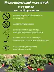 Черный укрывной материал для растений белый черный, спанбонд 60, 42, 30, 17, для теплиц, клубники