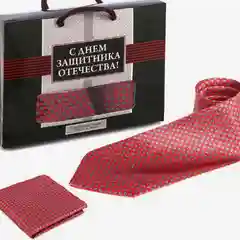 Вишнёвый подарочный мужской набор, с галстуком, подарок мужчине на 23 февраля