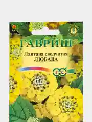 Семена Гавриш "Лантана сводчатая Любава", 0,1 г