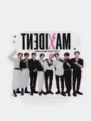 Фуксия подарочный набор K-pop карточек Stray Kids (Стрей Кидс) и Black Pink (Блэк Пинк), 8 марта