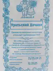 Семена петрушка Бутербродная, набор семян 5в1 - 5 пачек