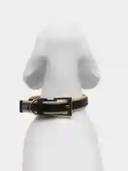 Бежевый ошейник для собак и кошек мелких и средних пород, NUNBELL, комбинированный, 47 х 2 см