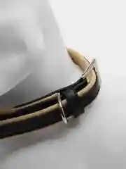 Бежевый ошейник для собак и кошек мелких и средних пород, NUNBELL, комбинированный, 47 х 2 см