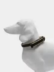 Бежевый ошейник для собак и кошек мелких и средних пород, NUNBELL, комбинированный, 47 х 2 см