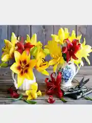 Коралловый меланж алмазная мозаика "Цветы" без подрамника, 30х40 см