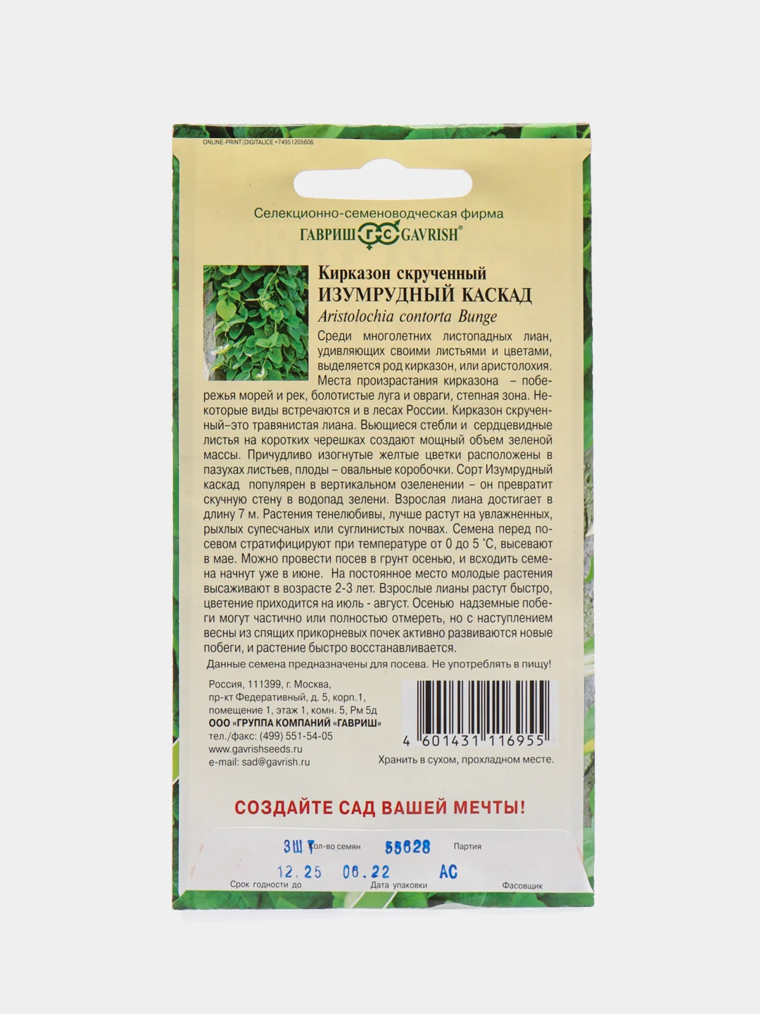 Кирказон скрученный Гавриш "Изумрудный каскад", 3 штуки