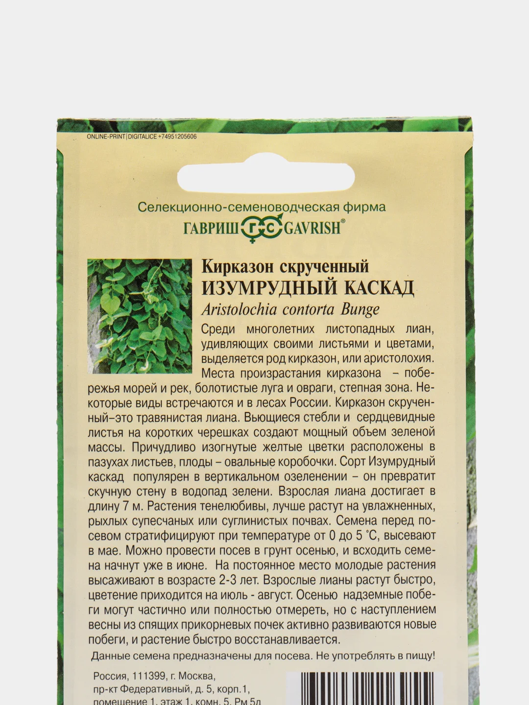Кирказон скрученный Гавриш "Изумрудный каскад", 3 штуки