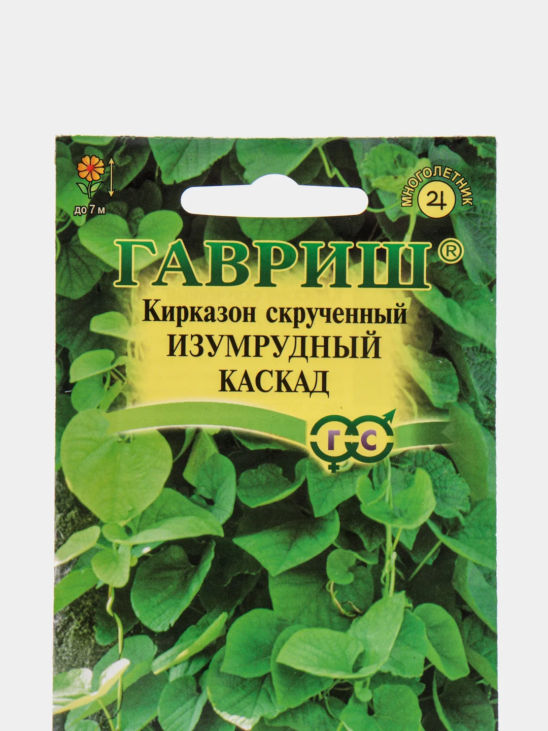 Кирказон скрученный Гавриш "Изумрудный каскад", 3 штуки