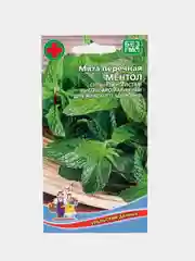 Мята Ментол (семена)