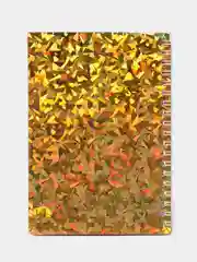 Золотой блокнот на спирали, с ручкой, 38 листов, 200791727