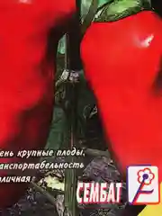 Семена перец сладкий ВОЛОВЬЕ УХО