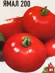 Семена томат ЯМАЛ 200. Высокоурожайный сорт