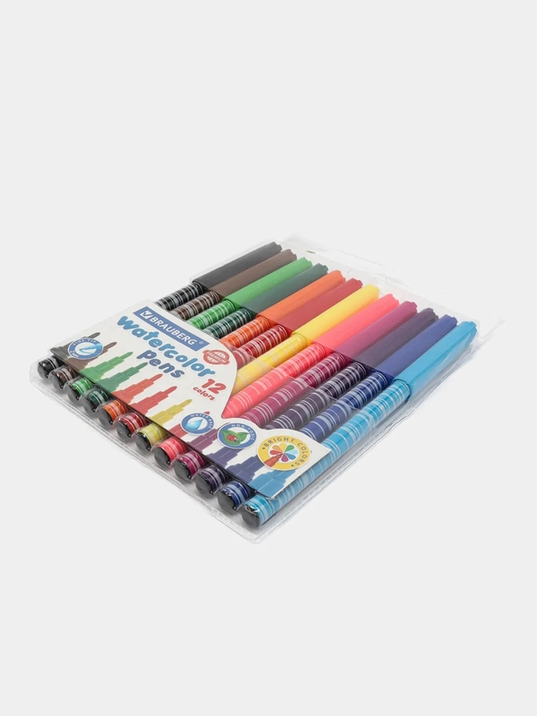 Фломастеры BRAUBERG PREMIUM, 12 цветов