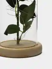 Роза в колбе