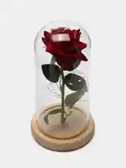 Роза в колбе