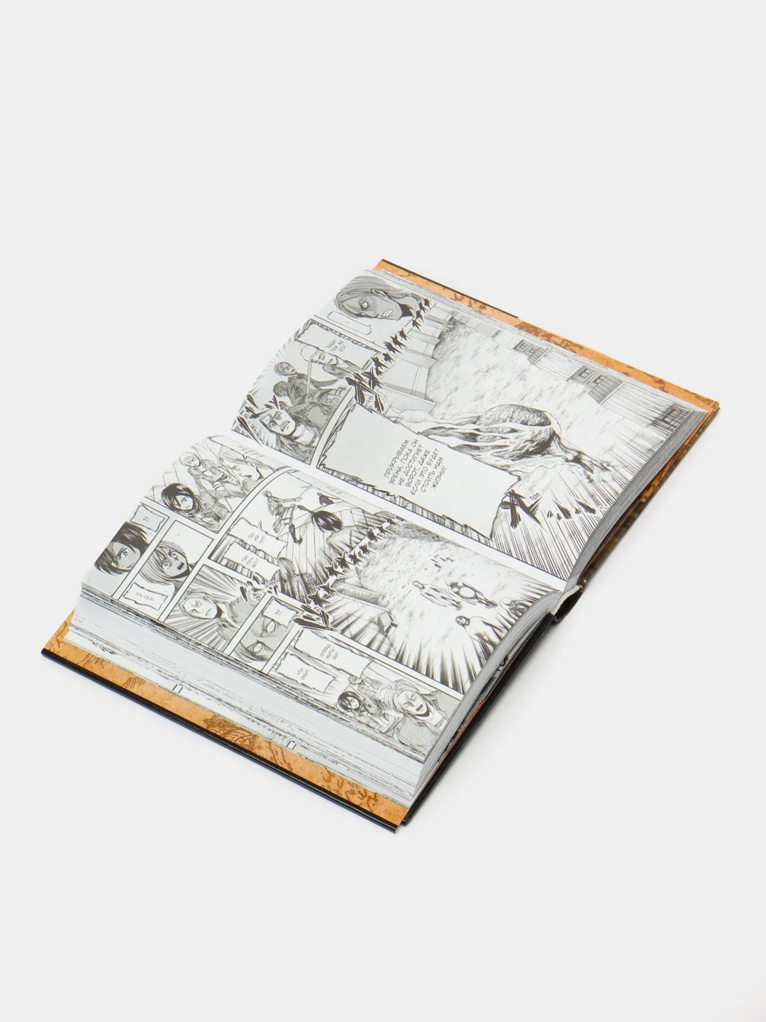 Атака на титанов. Книга 2, Хадзимэ Исаяма
