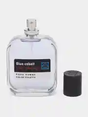 Туалетная вода Pro-Energy Blue Cobalt, мужская, 100 мл