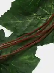 Лесной зеленый искусственные цветы, лиана