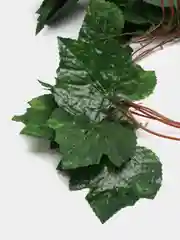 Лесной зеленый искусственные цветы, лиана