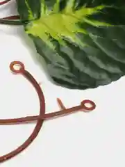 Зеленый искусственные цветы, лиана