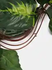 Зеленый искусственные цветы, лиана