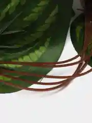 Лесной зеленый искусственные цветы, лиана
