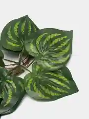 Лесной зеленый искусственные цветы, лиана