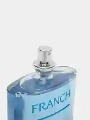 Туалетная вода Franch Line, мужская, 100 мл