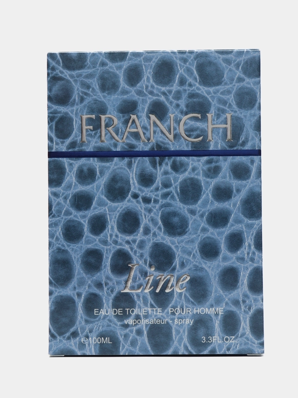 Туалетная вода Franch Line, мужская, 100 мл