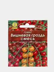 Семена Томат "Блэк черри", "Вишневая гроздь смесь", для теплиц и открытого грунта