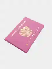 Обложка для паспорта
