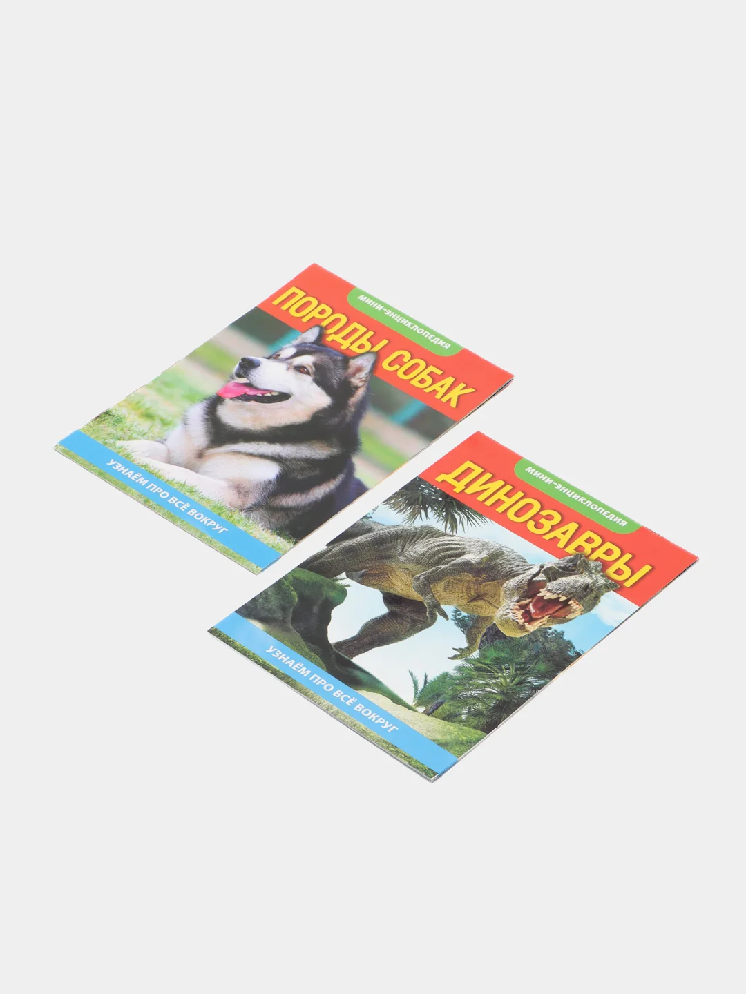 Шоколадный книга для детей Мини - энциклопедии