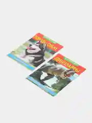 Шоколадный книга для детей Мини - энциклопедии
