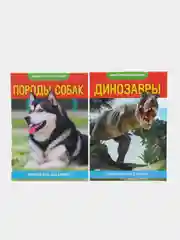Шоколадный книга для детей Мини - энциклопедии