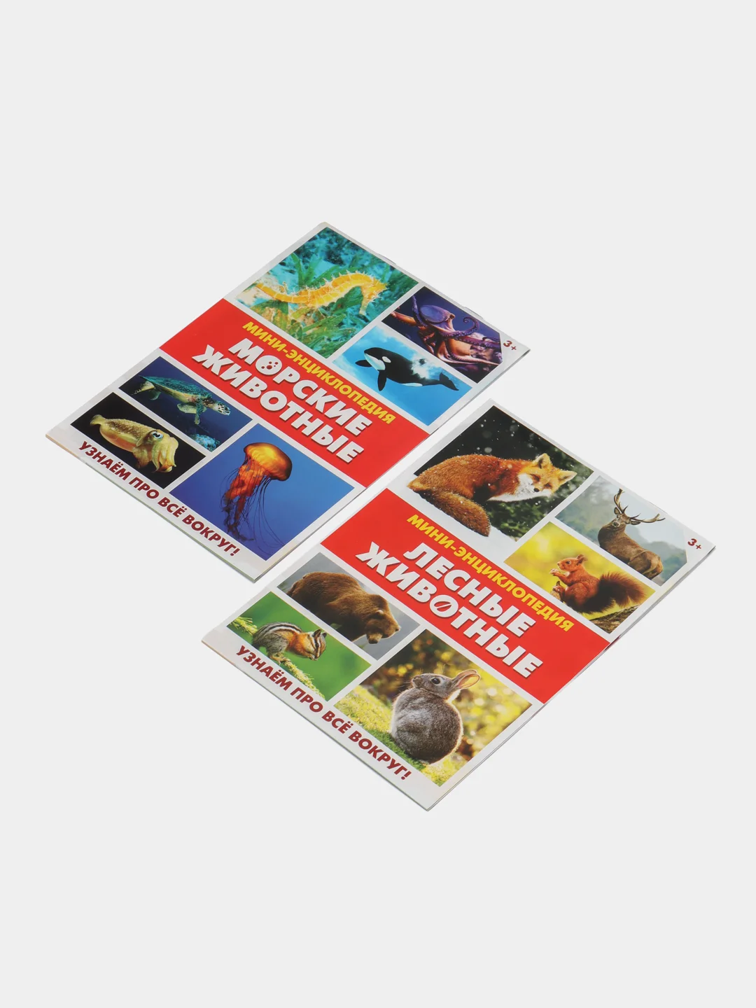 Черный книга для детей Мини - энциклопедии