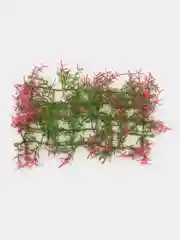 Конфетный растения искусственные, декоративные, для маленького аквариума, от 5 до 13 см, 43 вида