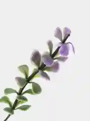 Индиго растения искусственные, декоративные, для маленького аквариума, от 5 до 13 см, 43 вида