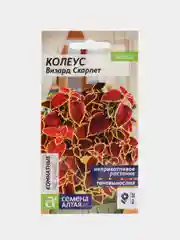 Семена комнатных цветов Колеус "Скарлет", 5 штук