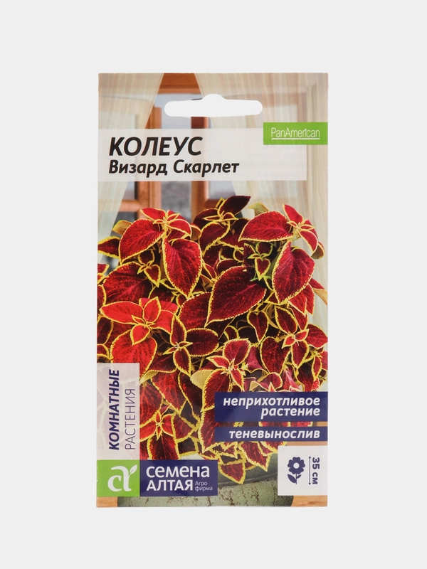Семена комнатных цветов Колеус "Скарлет", 5 штук
