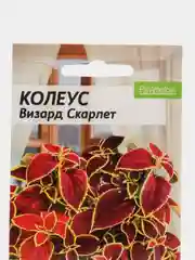 Семена комнатных цветов Колеус "Скарлет", 5 штук