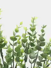 Зеленый искусственные цветы, 5 видов