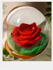Алый мыло сувенирное, ручная работа